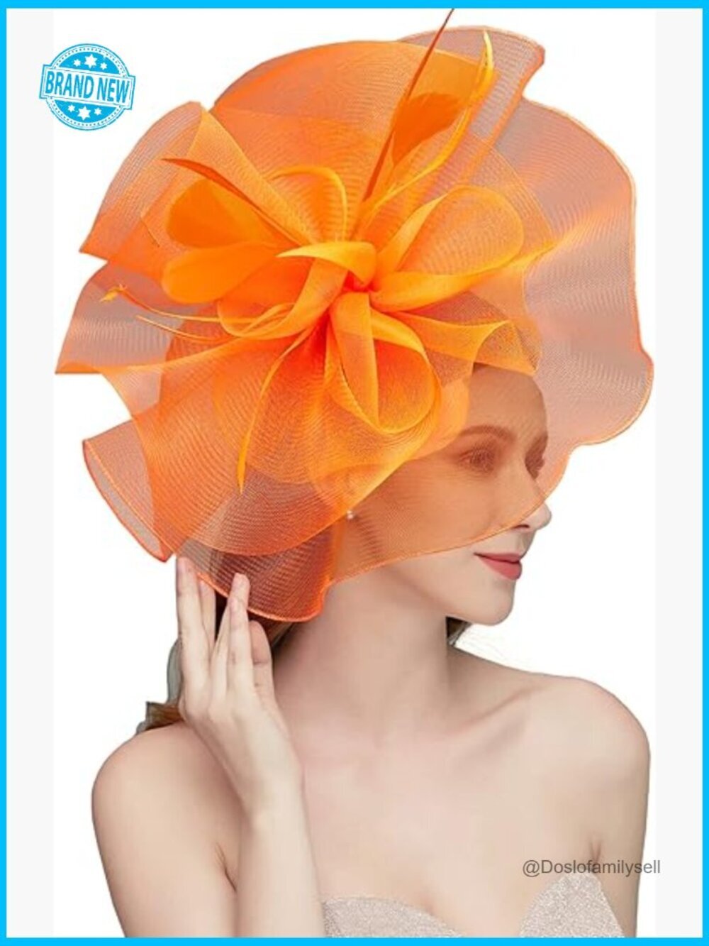 Fascinator Hat Headband Wedding Cocktail Mesh Feathers Hair Clip Floral Elegant